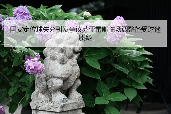 国安定位球失分引发争议苏亚雷斯临场调整备受球迷质疑